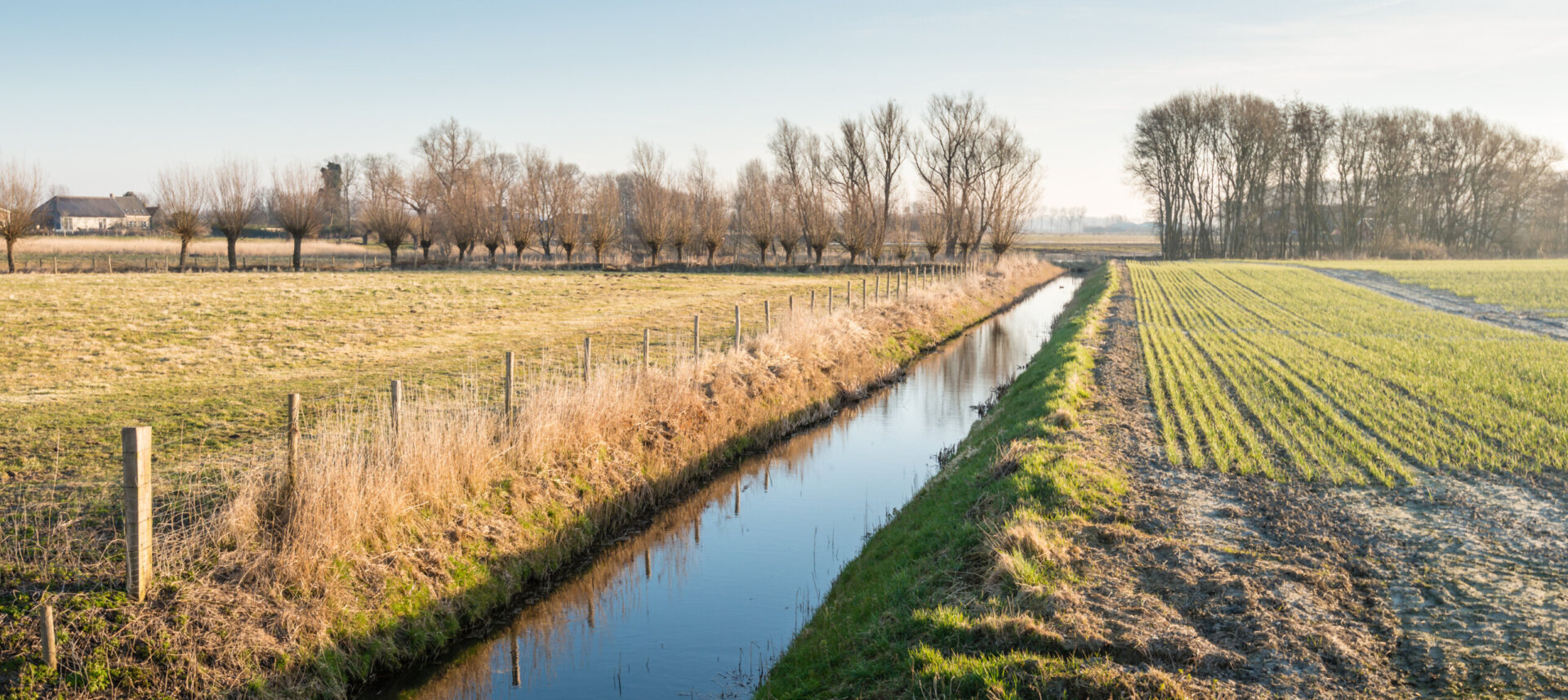 Farmland divided by a ditch and in the background bare trees reflected in the mirror-smooth surface.