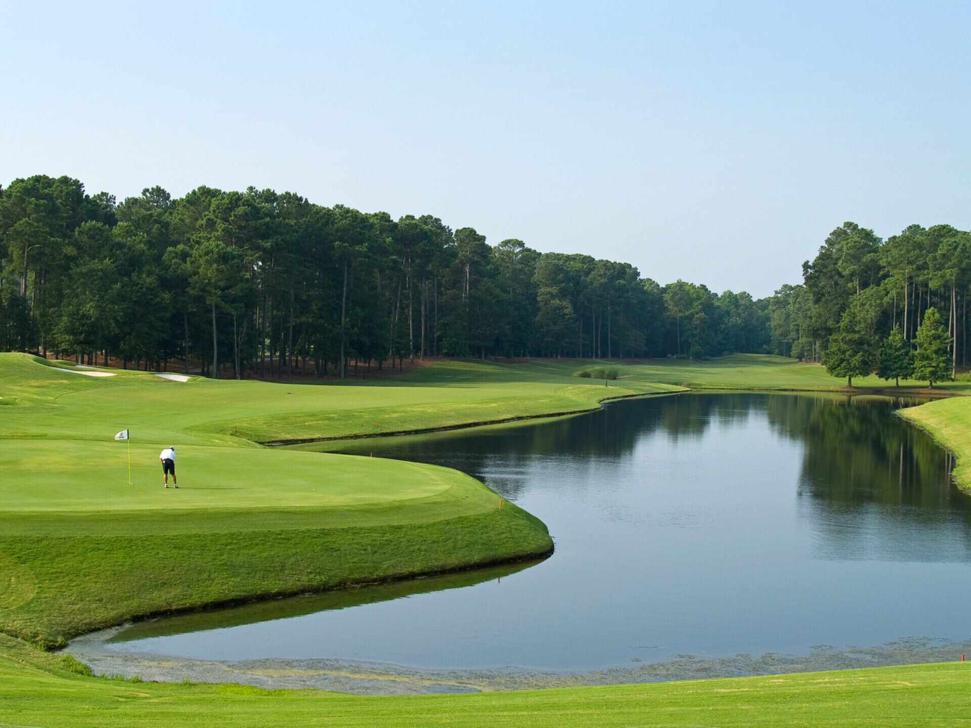 View of a pond at a gold course, a man putts on the green near a a row of trees