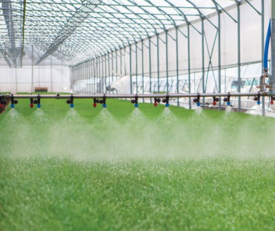 Innovative Indoor Agriculture Facility in Santa Maria